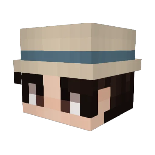 YourName7498 Minecraft avatar head, 3D render