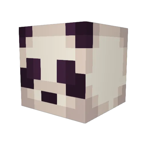 YourNameThere Minecraft avatar head, 3D render
