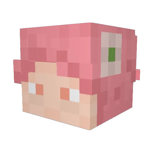YourOrdinaryPal Minecraft avatar head, 3D render