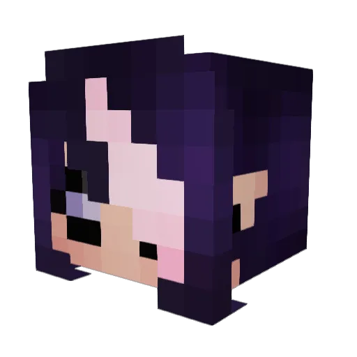 YourPalAceX3 Minecraft avatar head, 3D render
