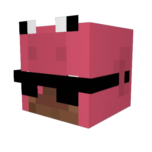 YourPalSal_ Minecraft avatar head, 3D render