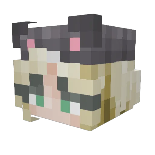 YourPalTardy Minecraft avatar head, 3D render