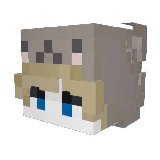 YourPookie Minecraft avatar head, 3D render