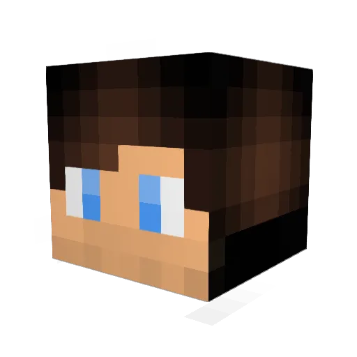 YourPrivateHost Minecraft avatar head, 3D render