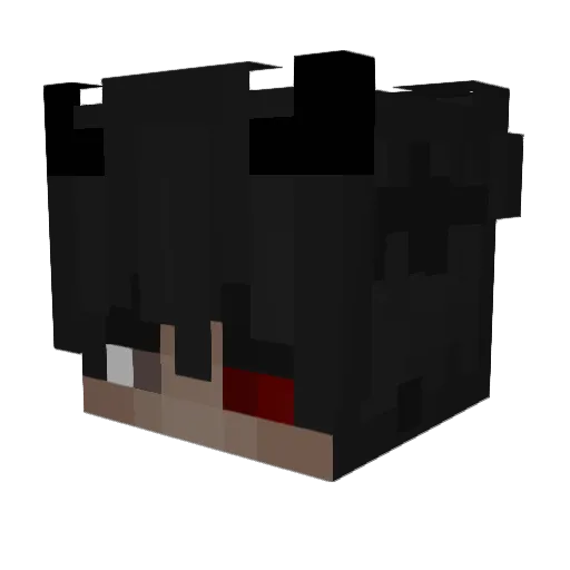 YourSkateBro Minecraft avatar head, 3D render