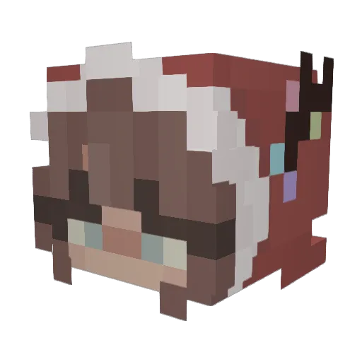 YourWifeLovesMe Minecraft avatar head, 3D render