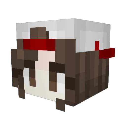 YourWinter Minecraft avatar head, 3D render