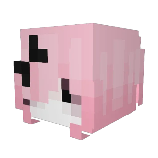 Your_Sylvph Minecraft avatar head, 3D render