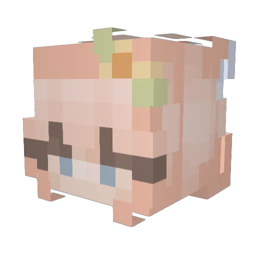 Your_Waffle_ Minecraft avatar head, 3D render