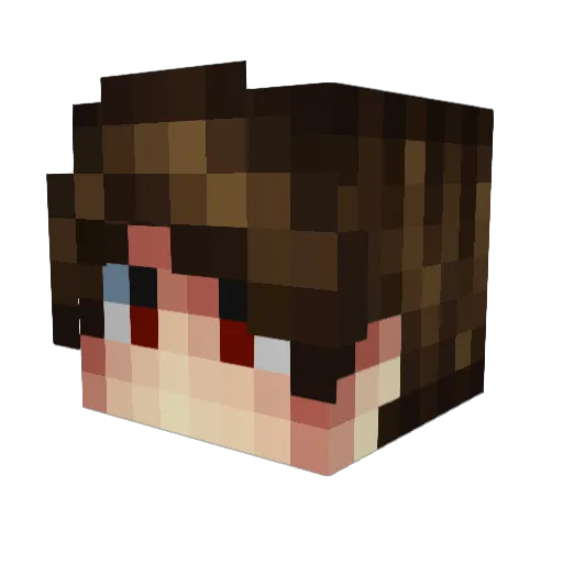 Yourface102 Minecraft avatar head, 3D render