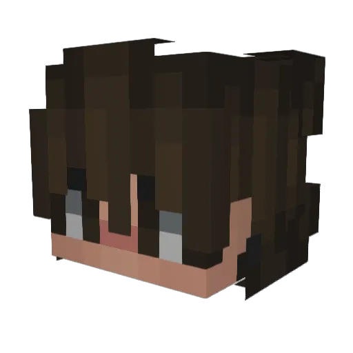Yourgarbagemate Minecraft avatar head, 3D render