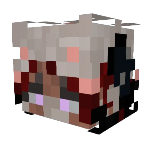 Yourlocal_Aster Minecraft avatar head, 3D render