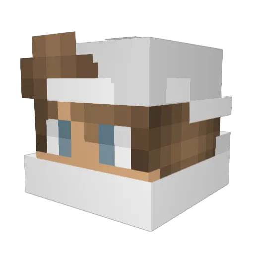 Yourpaypal Minecraft avatar head, 3D render