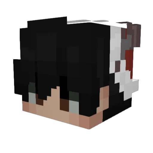 YoursTruly_Aceyy Minecraft avatar head, 3D render