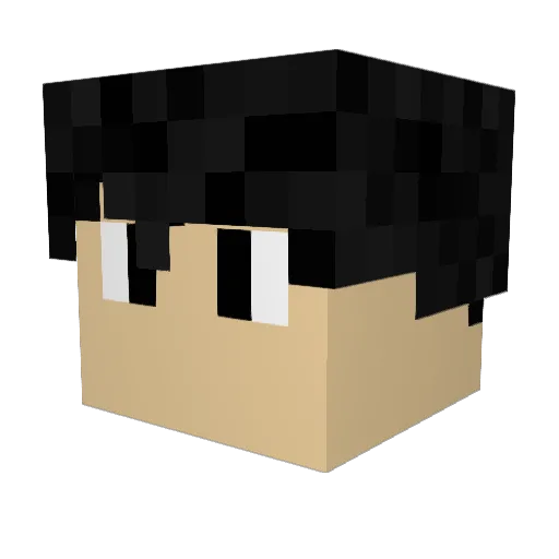 Yours_Sincerely Minecraft avatar head, 3D render