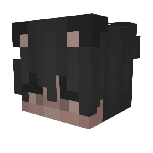 Yourskyline Minecraft avatar head, 3D render