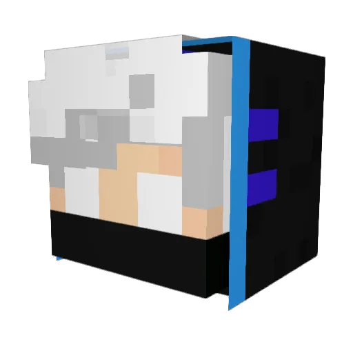 Youyou_44 Minecraft avatar head, 3D render
