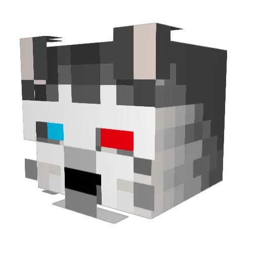 Yowl1tz Minecraft avatar head, 3D render