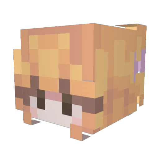 Yoyoplex Minecraft avatar head, 3D render