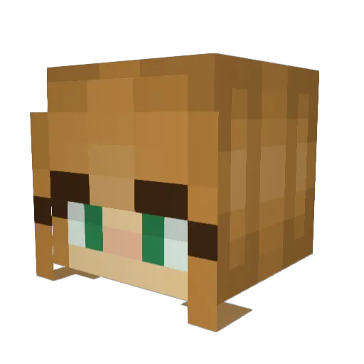 YozeeBee Minecraft avatar head, 3D render