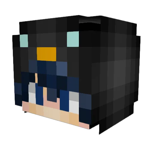 Ypenguin02 Minecraft avatar head, 3D render