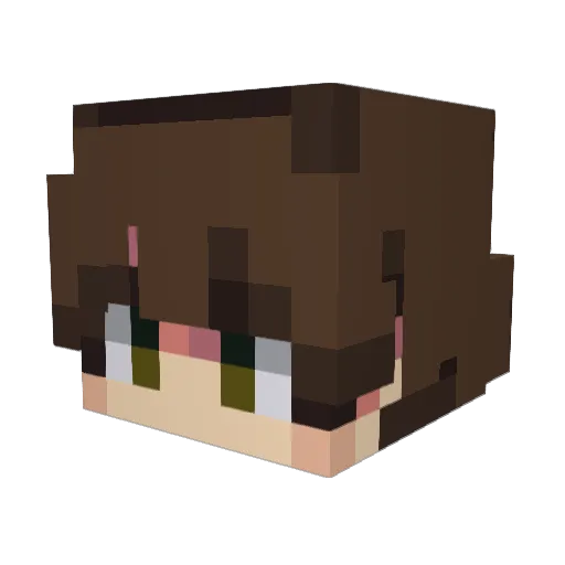 Ypoon Minecraft avatar head, 3D render