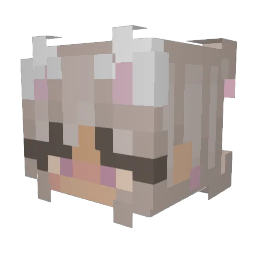 Yree6 Minecraft avatar head, 3D render