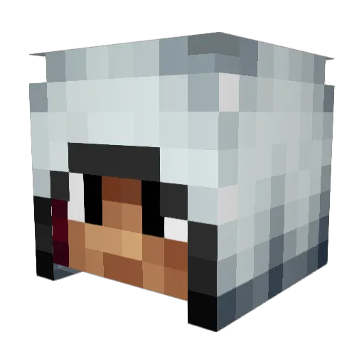 YsCoLTD Minecraft avatar head, 3D render