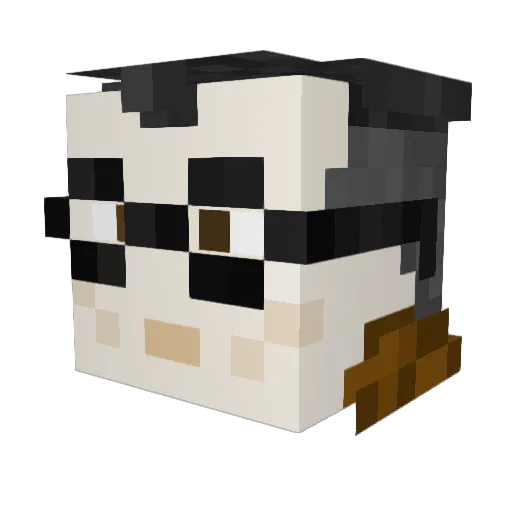 Ytse_Jammer Minecraft avatar head, 3D render