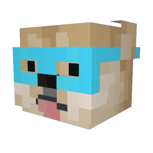 YuHangTheGod Minecraft avatar head, 3D render