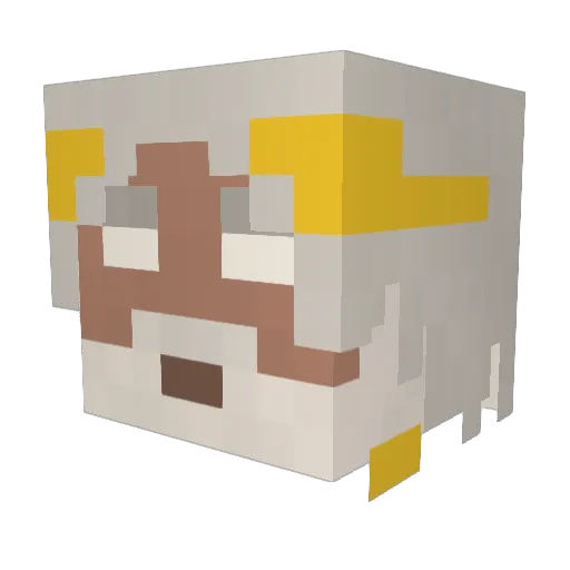 YuHanhan Minecraft avatar head, 3D render