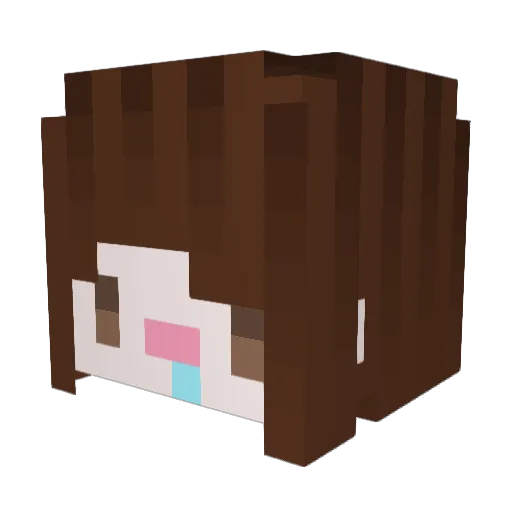 Yu_Shan Minecraft avatar head, 3D render