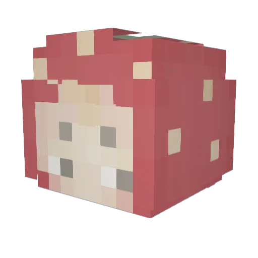 Yubin7741 Minecraft avatar head, 3D render