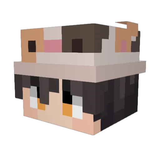 YucketBucket Minecraft avatar head, 3D render