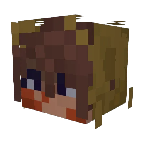 YuckierGrain605 Minecraft avatar head, 3D render