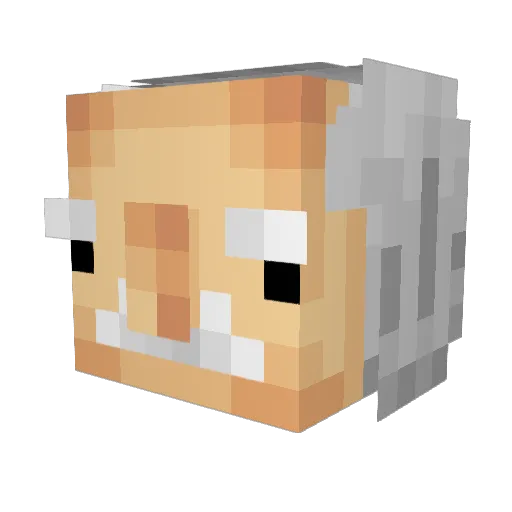 YuckyBoy Minecraft avatar head, 3D render