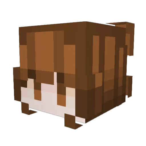 Yucky_Fishies Minecraft avatar head, 3D render