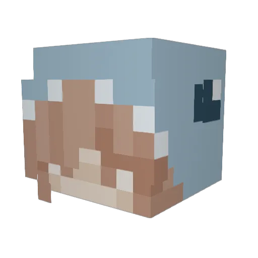 Yuenkib Minecraft avatar head, 3D render