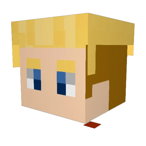 YugaBooga Minecraft avatar head, 3D render