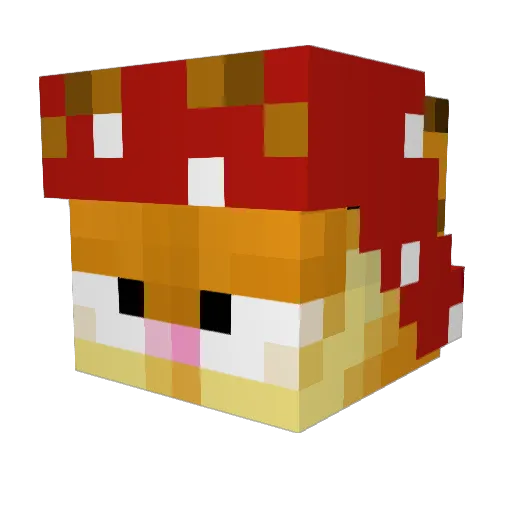 Yuh_Skrrt Minecraft avatar head, 3D render