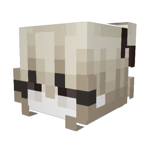 YuiKo25 Minecraft avatar head, 3D render
