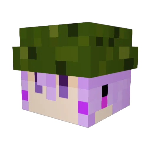 YukaMillan Minecraft avatar head, 3D render