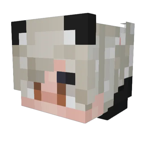 Yuki565 Minecraft avatar head, 3D render