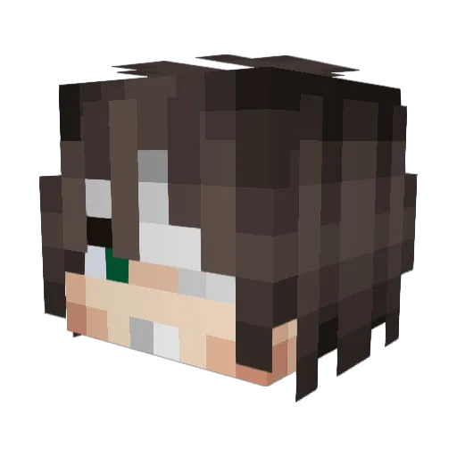YukiyukiSKunk Minecraft avatar head, 3D render