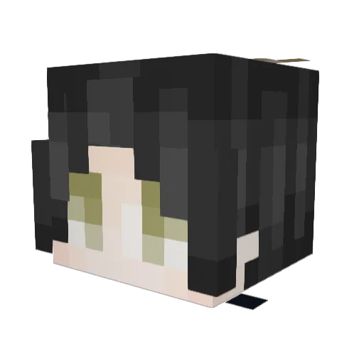 Yulin0121 Minecraft avatar head, 3D render