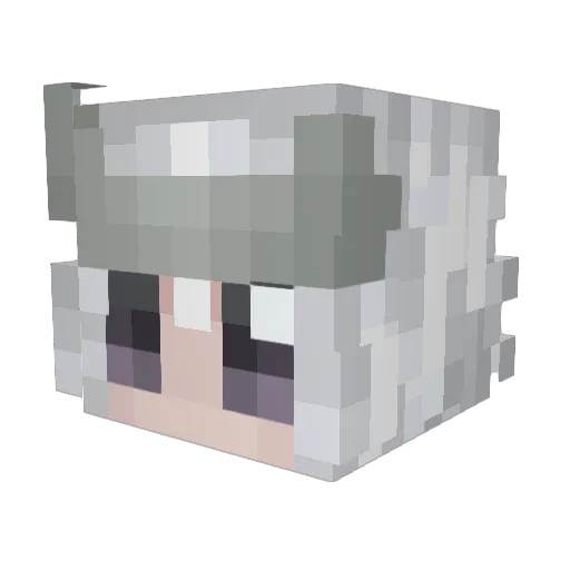 Yuliyan21 Minecraft avatar head, 3D render