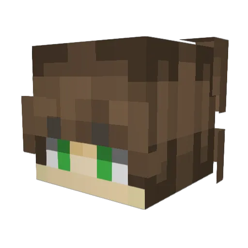 Yullang2 Minecraft avatar head, 3D render