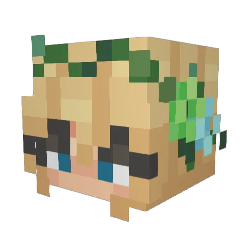 Yuma_WGF Minecraft avatar head, 3D render