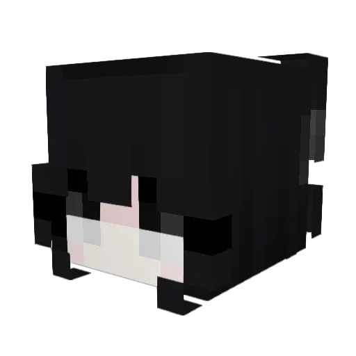 Yumewn Minecraft avatar head, 3D render