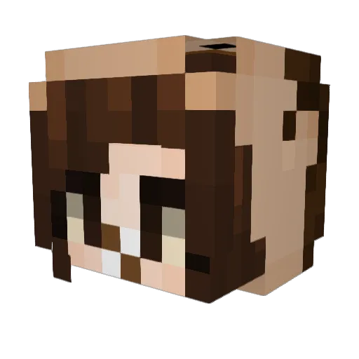 YumlYum Minecraft avatar head, 3D render